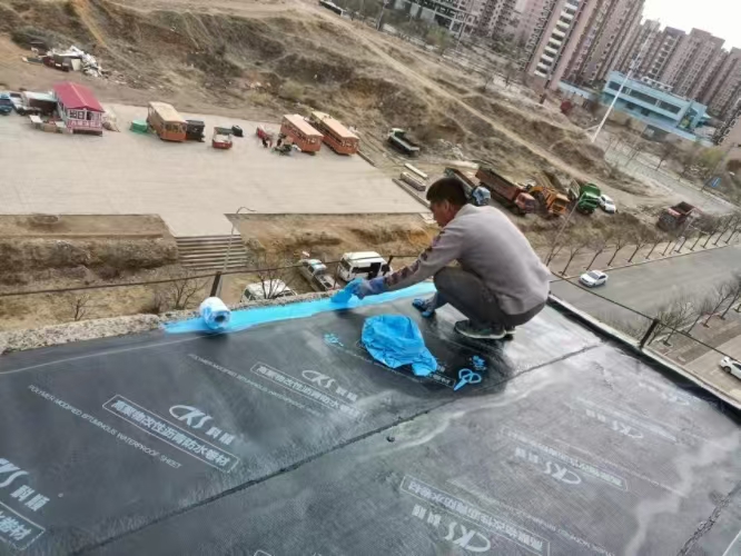 微信图片_20241023180112.jpg
