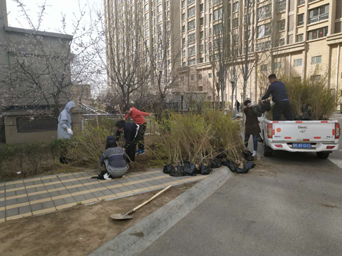 图片2_副本.png
